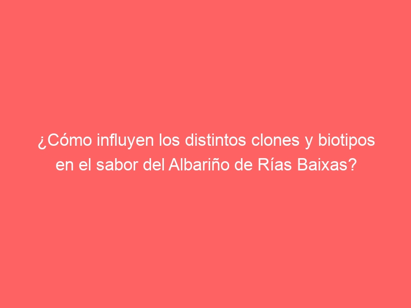 C Mo Influyen Los Distintos Clones Y Biotipos En El Sabor Del Albari O